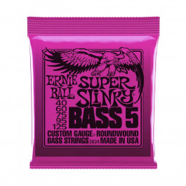 Ernie Ball P02824