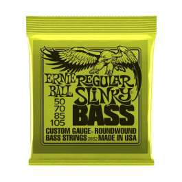 Ernie Ball P02832