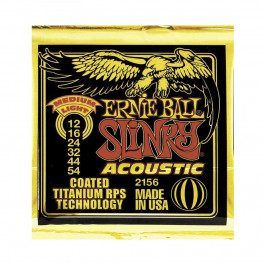 Ernie Ball P02156