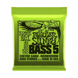   Ernie Ball P02836