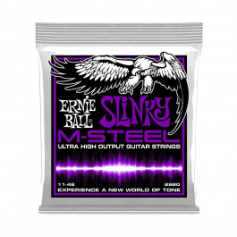   Ernie Ball P02920