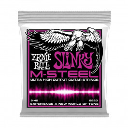   Ernie Ball P02923