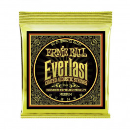   Ernie Ball P02554