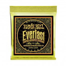 Ernie Ball P02560