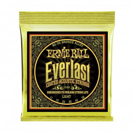 Ernie Ball P02558