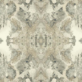   York Wallcoverings Candice Olson Botanical Dreams NA0593