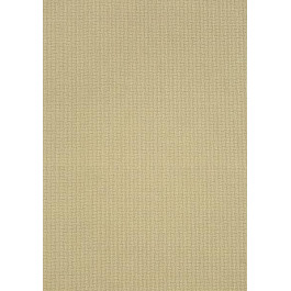   Thibaut Natural Resource 2 (T83057)