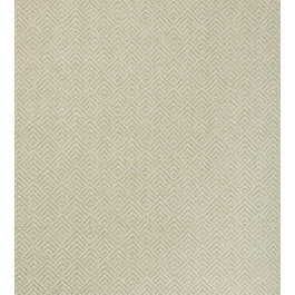   Thibaut Grasscloth Resource 4 (T72857)