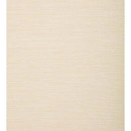   Thibaut Grasscloth Resource 4 (T72844)