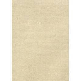   Thibaut Grasscloth Resource 3 (T41125)