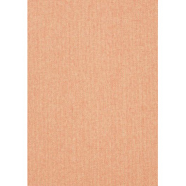   Thibaut Grasscloth Resource 3 (T41124)