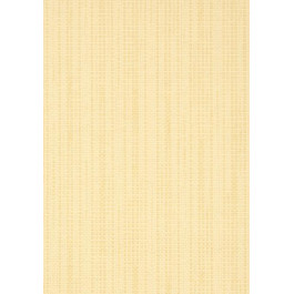   Thibaut Grasscloth Resource 3 (T41103)