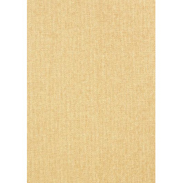   Thibaut Grasscloth Resource 3 (T41123)