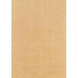   Thibaut Grasscloth Resource 2 (T3698)