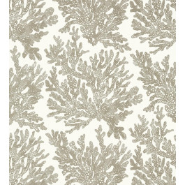   Thibaut Tropics (T10140)