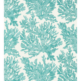   Thibaut Tropics (T10121)