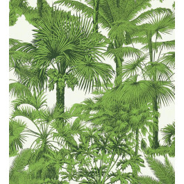   Thibaut Tropics (T10103)