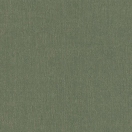   Rasch Textil Palmera (299785)