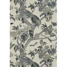   Thibaut Colony T10227