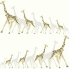 York Wallcoverings DwellStudio Baby + Kids (DW2362) - зображення 1