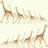 York Wallcoverings DwellStudio Baby + Kids (DW2361) - зображення 1