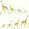 York Wallcoverings DwellStudio Baby + Kids (DW2360) - зображення 1