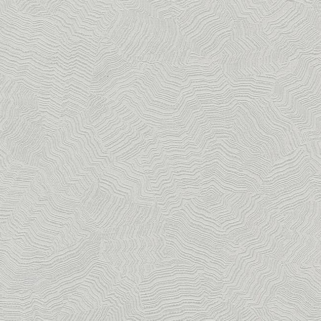 York Wallcoverings Candice Olson Terrain COD0519N - зображення 1