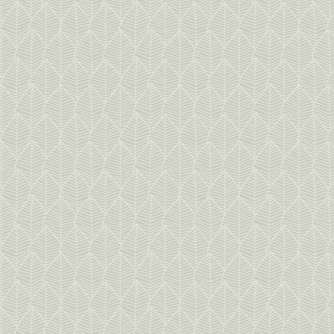 York Wallcoverings Candice Olson Tranquil (SO2482) - зображення 1