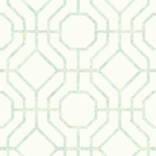 York Wallcoverings Candice Olson Tranquil (SO2461) - зображення 1