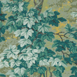   Zoffany Darnley (ZDAR312857)