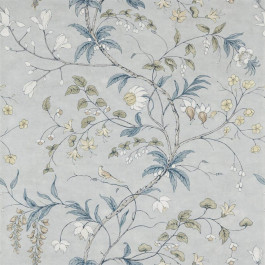   Zoffany Darnley (ZDAR312851)