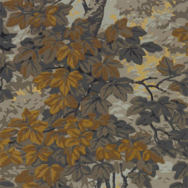   Zoffany Darnley (ZDAR312858)