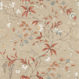   Zoffany Darnley (ZDAR312852)