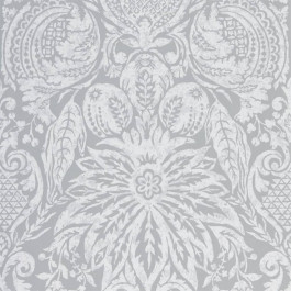   Zoffany Darnley (ZDAR312864)