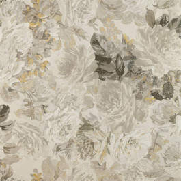   Zoffany Darnley (ZDAR312853)