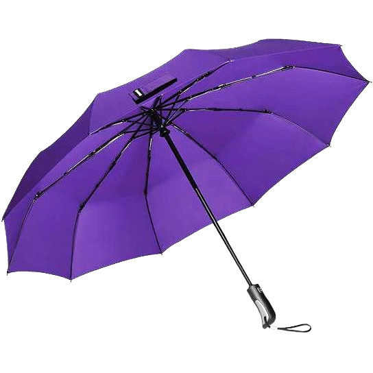 Xiaomi Парасолька Xiaomi Zuodu Automatic Umbrella (ZD001) Purple - зображення 1