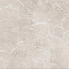 Raviraj Ceramics Moon Grey 60x60 polished - зображення 1