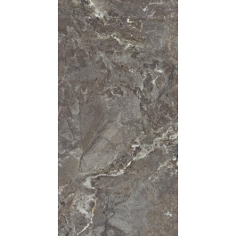   Allore Group Snake stone Bronze 120x60 Mat