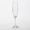 Crystalex Набор бокалов для шампанского Milvus (Barbara) 250мл 1SD22/000000/250/6 - зображення 1