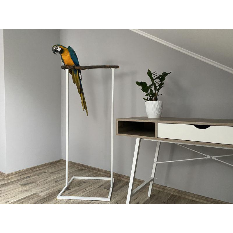 Haustier Стенд для папуги підлоговий Loft White 50х50х125см - зображення 1