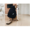 Haustier Худі Для Собак оверсайз з капюшоном тепле Black XS-7XL XS (DC1-3-XS) - зображення 7