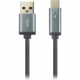 Canyon USB 2.0 AM/CM 1m (CNS-USBC6DG)