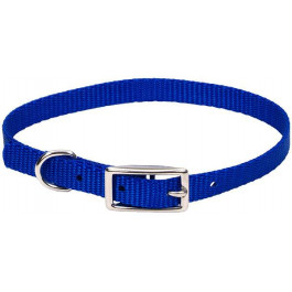 Coastal Нашийник  Nylon Web для собак нейлон синій 1х25 см (52164)