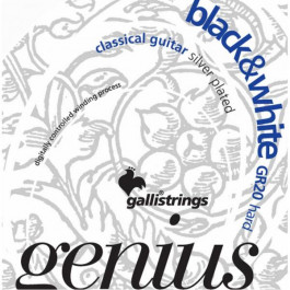 GALLI Genius Black&White PROcoated GR20 (28-45) Hard Tension