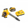 DeWALT DCM572X1 - зображення 1