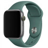 Epik Силіконовий ремінець для Apple watch 42mm / 44mm Зелений / Pine green - зображення 1