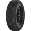 Hankook I Cept Evo3 W330 - зображення 1