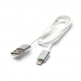 PowerPlant Magnetic USB 2.0 AM - Lightning (iPhone 5, 5S, 6),1.м (DV00DV4059)