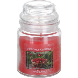 Feroma Candle Свічка Арома Wild Cherry FJA11-CHP (4820211050030)