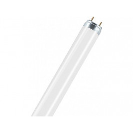 Osram Люминесцентная лампа 30W/76 для продуктов TL-D G13 (4050300010540)